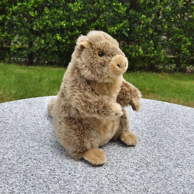 Simulation Groundhog Doll Cute Little Animal Toy Cartoon Grassland Marmot Plush Toy Simulation Stuffed Doll Kawaii Toy Gifts