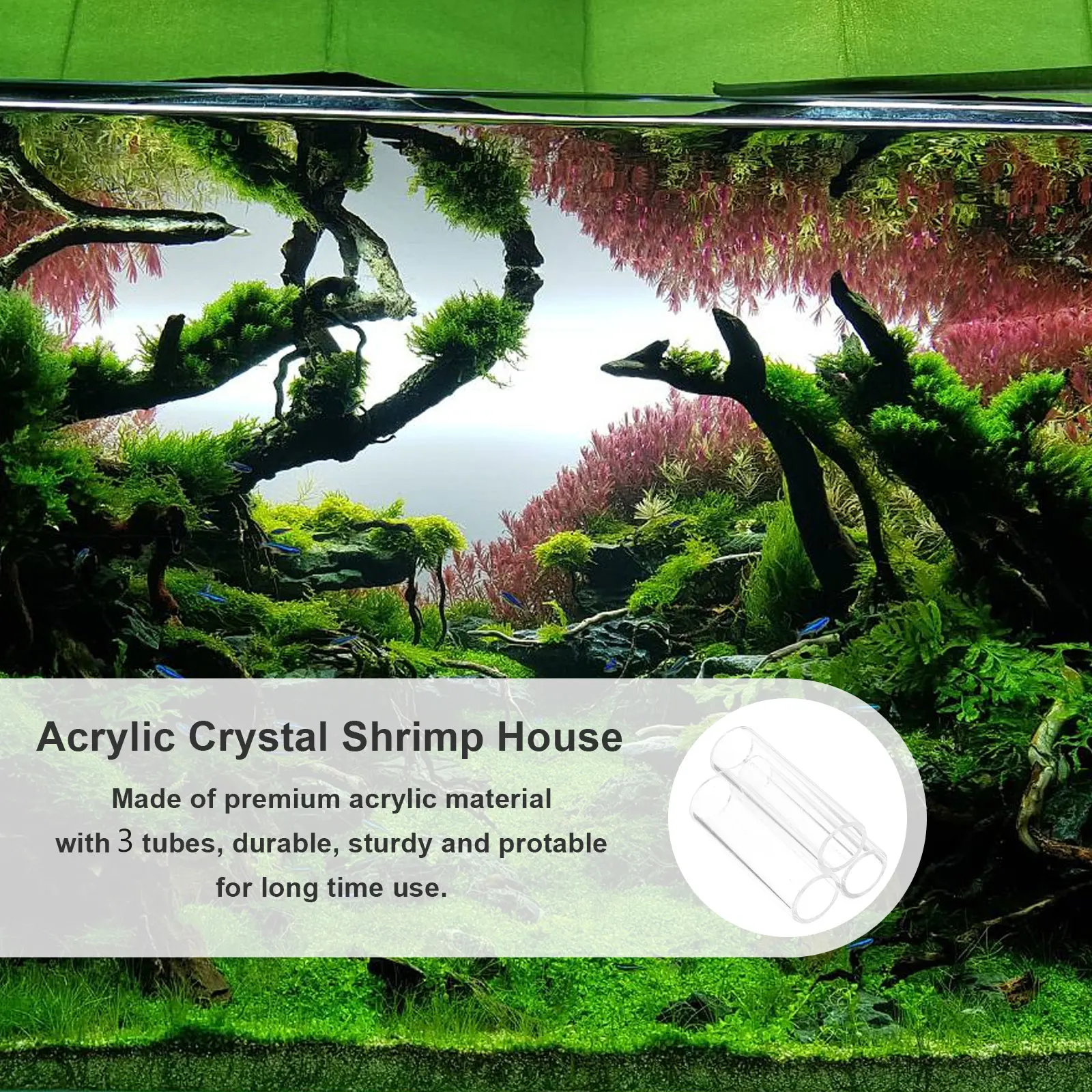 

3 Tubes Acrylic Shrimp House Crystal Aquarium Shelter Prawn Nest Durable Hideout for Breeding Fry Crystal Shrimp House