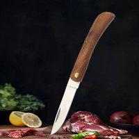 High-Quality Foldable Fruit Knife with Wooden Handle for Kitchen and Home Use