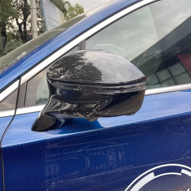 

Byd Tang 2022-2024 side door mirror cap Rear view mirror cover interior protection trim carbon fiber auto accessories