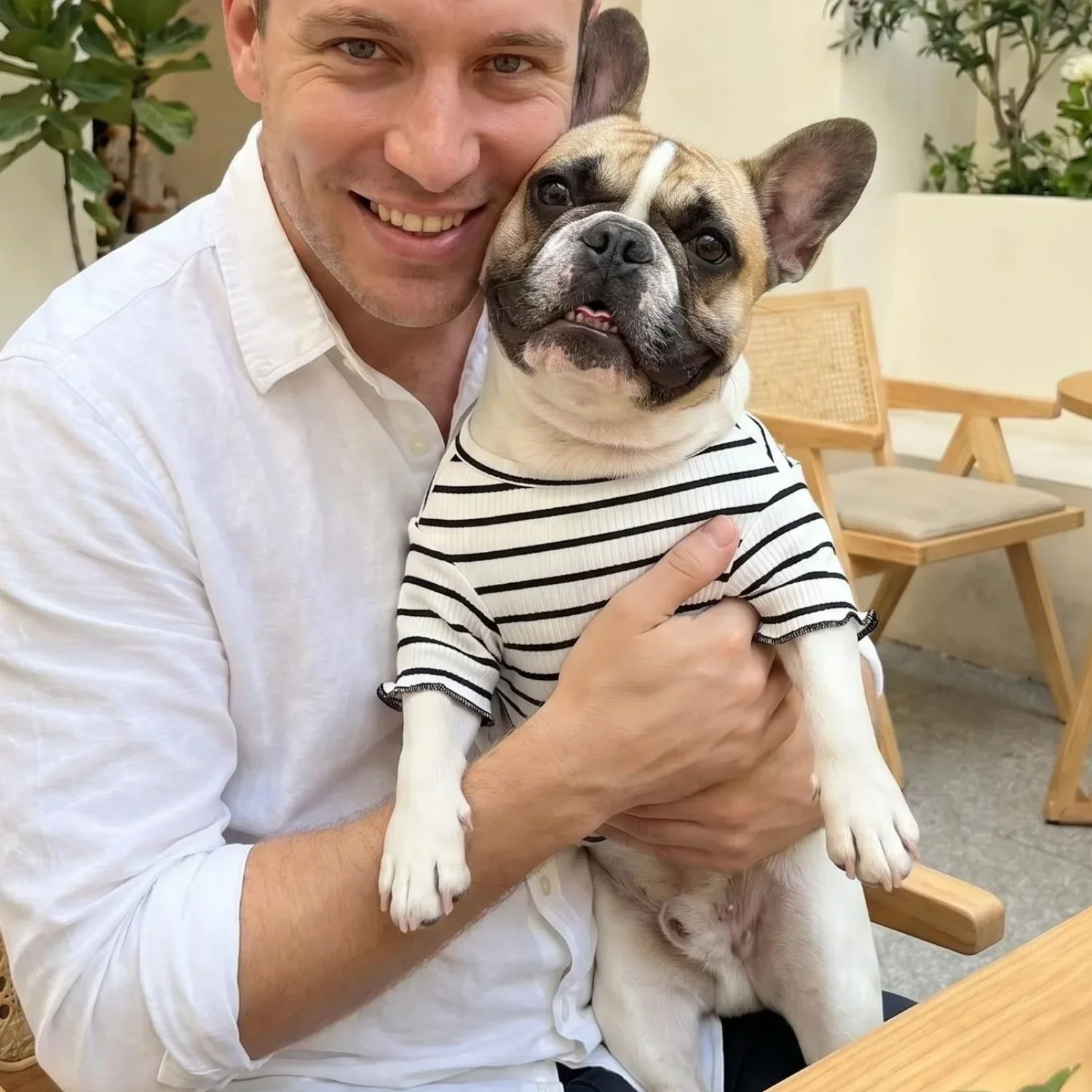1 Stück Niedliches Hundeshirt mit Schleifendekoration, Gestreift, Weich, Dehnbar, Gerippt, Katzen-T-Shirt, Frühling Sommer Atmungsaktive Haustierkleidung – Detail 15