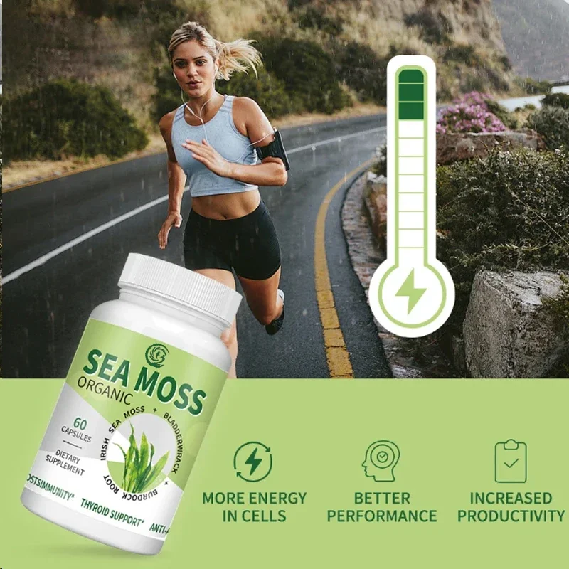 

Organic Seaweed - Seaweed, Bladder, and Burdock Roots - High-quality Supplements That Provide Immune Support and Overall Health