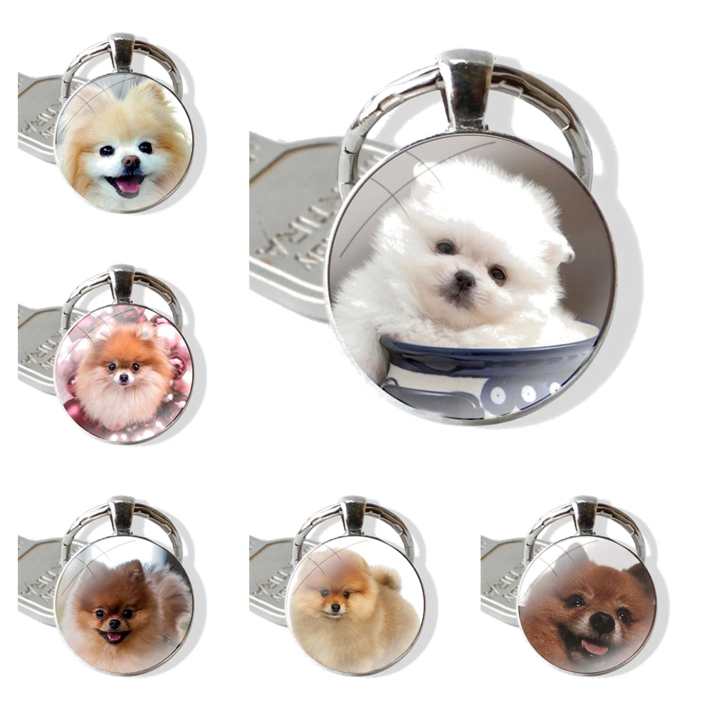 Design Keychain Glass Cabochon Metal Pendant Classic Men's Women's Keyring Pomeranian dogs dog