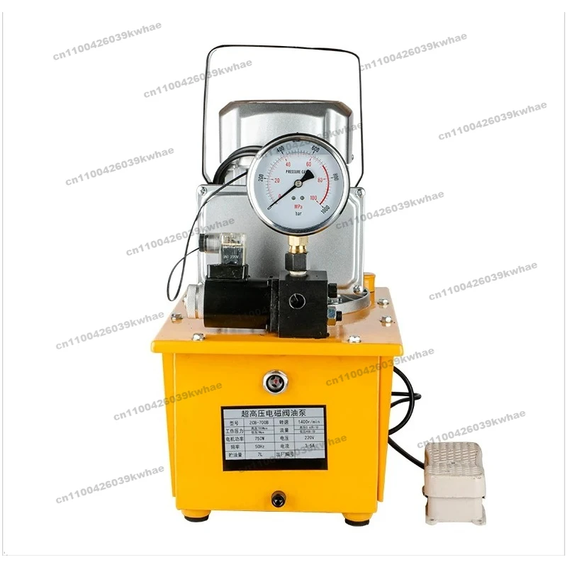 For Ultra-high Pressure Hydraulic Pump 220V Voltage Small Double Circuit Solenoid Valve Foot Pump Hydraulic Press Electric