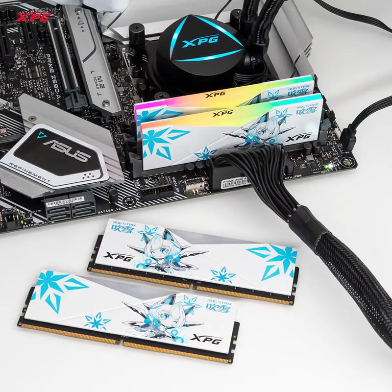 XPG D500G ASUS ROG Ji Chuixue عصا ذاكرة DDR5 المشتركة RGB مجموعة شريط إضاءة 16/32/64 G