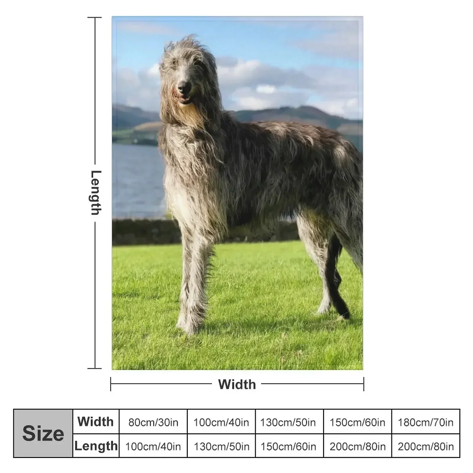 Stunning Scottish Deerhound in Scotland Throw Blanket couch cozy soft plush fuzzy picnic outdoor blanket