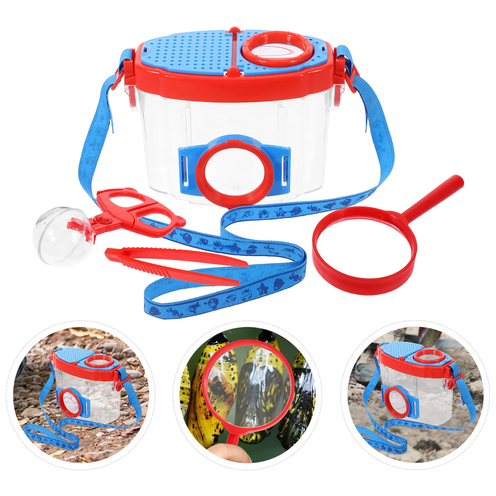 1Set Insect Observa…