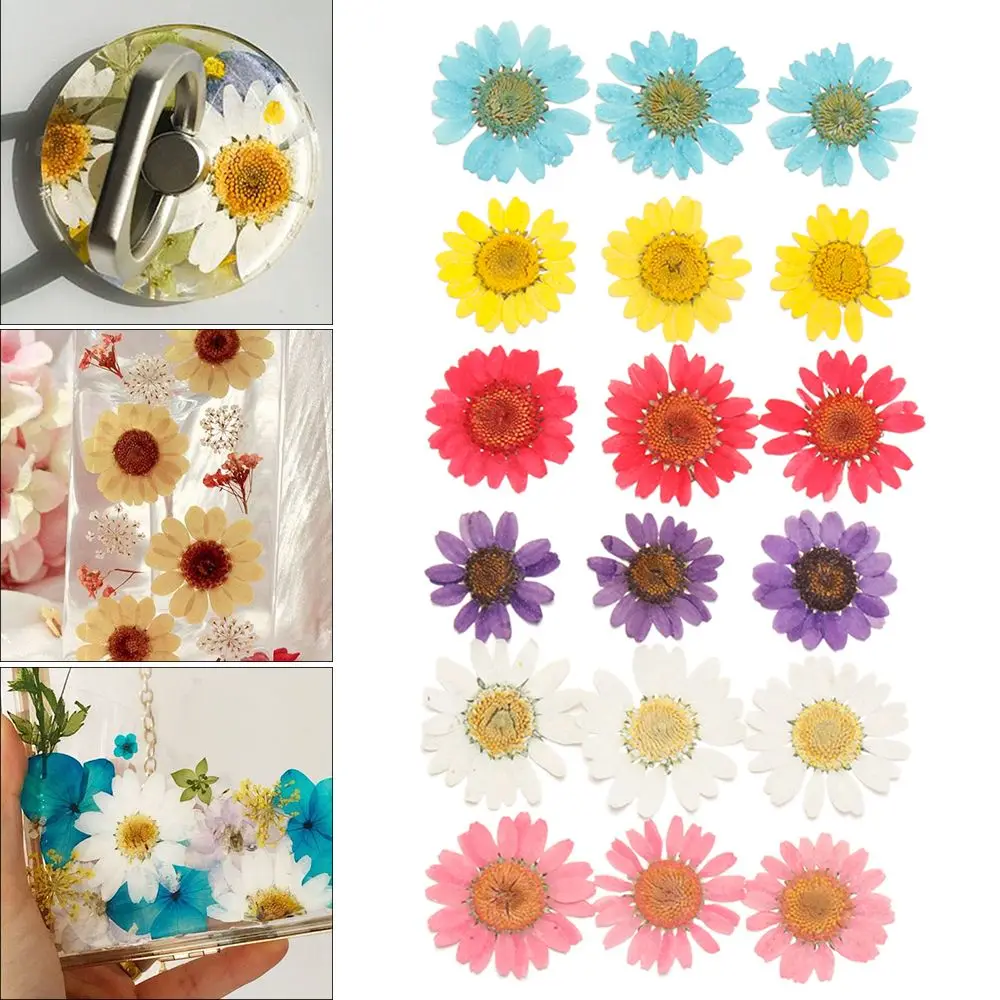 12 buah/kantong perhiasan Resin DIY warna-warni membuat aster seni cetak bunga kering