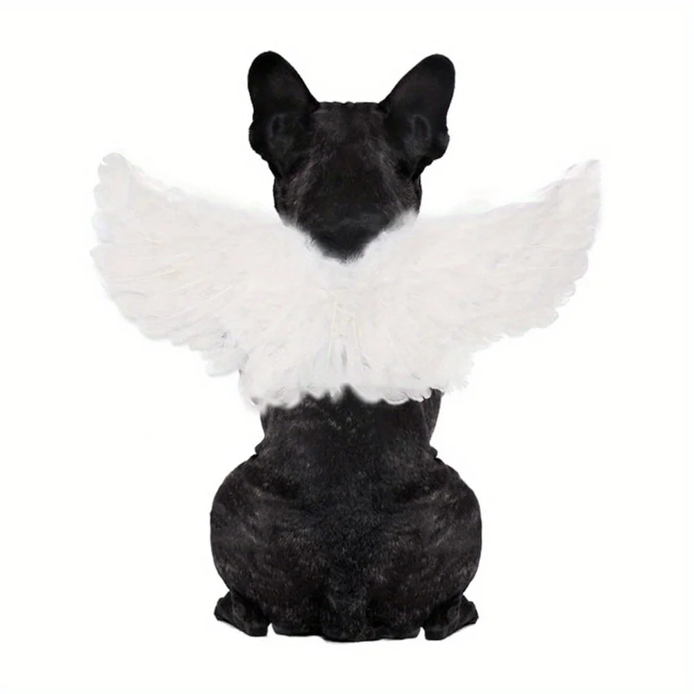 Pet Angel Wings Chest Back Halloween Creative Cat Dog Small Dog Transformation Clothing New Product