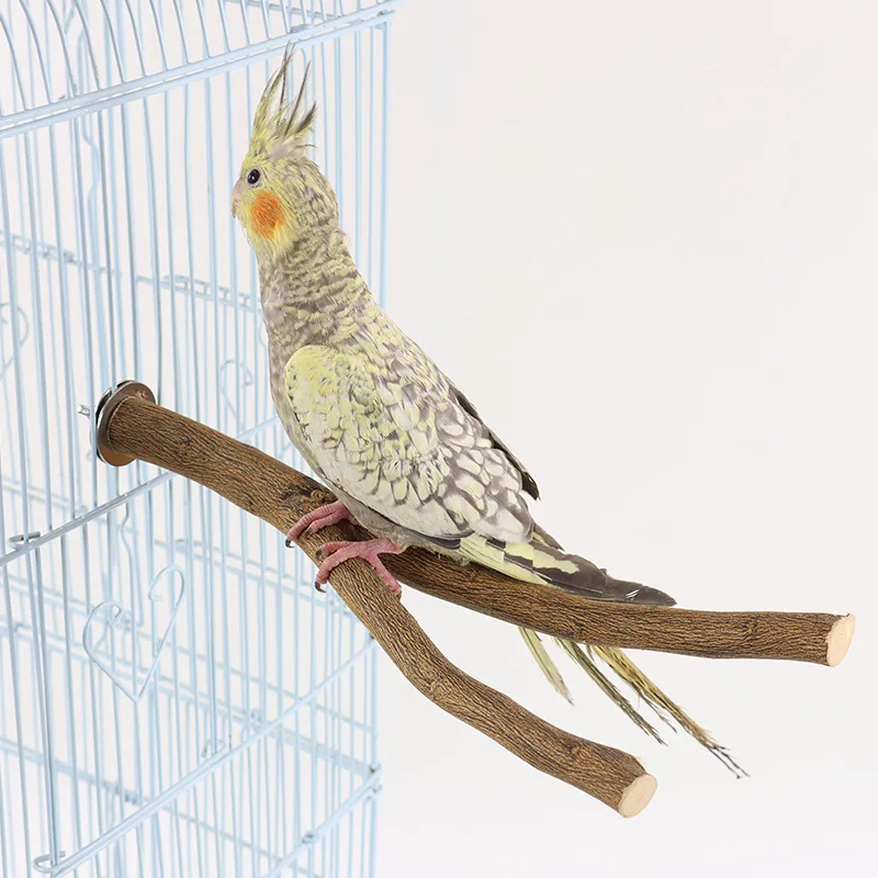 Parrot toys, swing rings, parrot stands, stand poles, parrot ladders, parrot climbing ladders, parrot supplies and tools