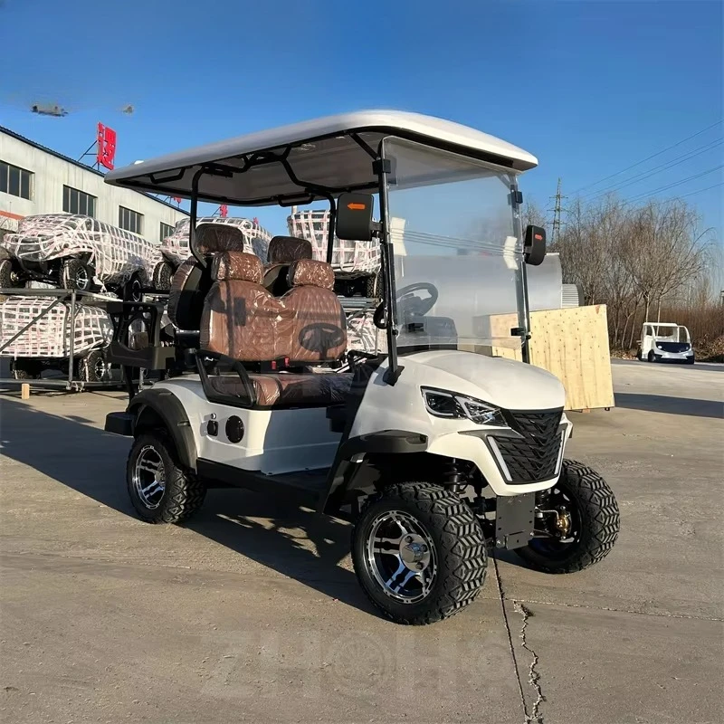 Заводская поставка 2, 4-местная мини-тележка для гольфа, внедорожная роскошная электрическая тележка для гольфа, многоцелевой автомобиль, розовая, может быть изготовлена по индивидуальному заказу