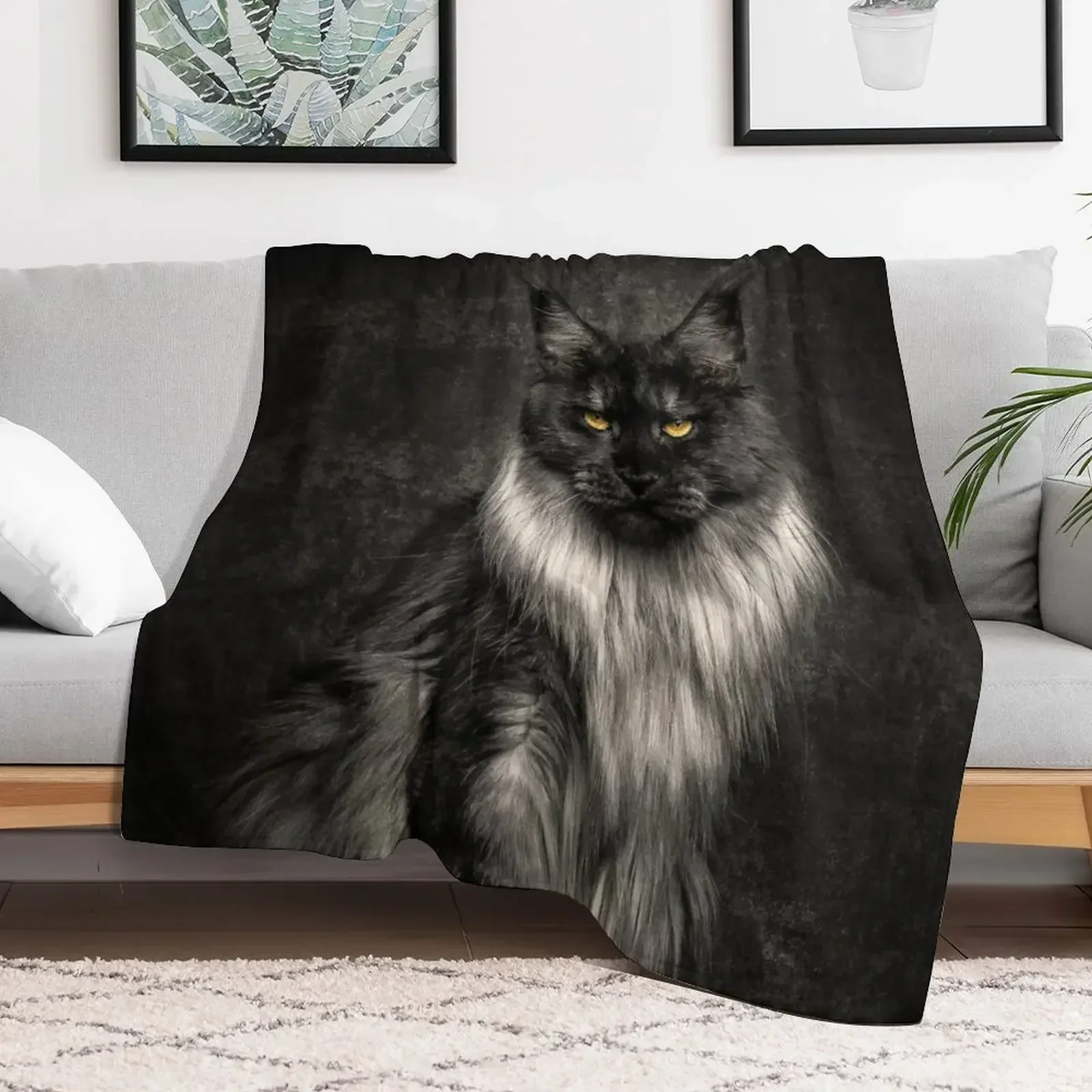 Silver Maine Coon Cat Portrait Throw Blanket Bed linens Multi-Purpose bed plaid Blankets