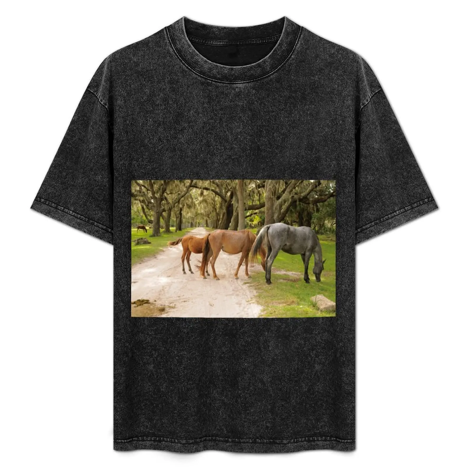 

Cumberland Island Wild Horses have the run of the Island T-Shirt Big and Tall Basic Tee Shirt