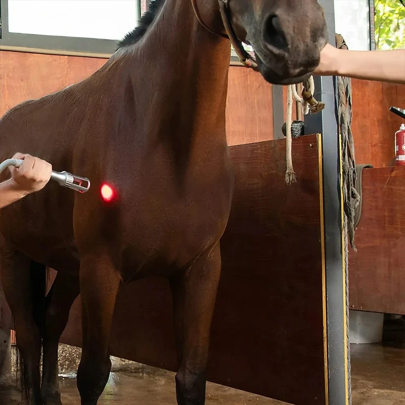 Veterinary Cure Machine Diode    Therapy Machine 810nm 980nm Vet Physiotherapy for Pain Relief