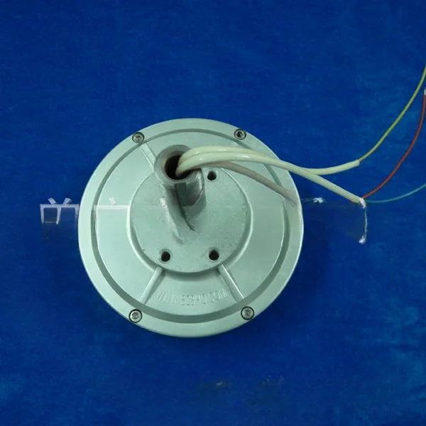 50W external rotor disc coreless permanent magnet generator