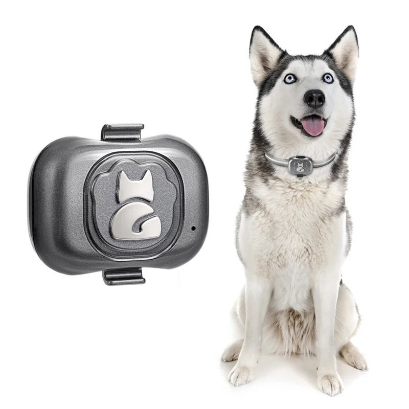 2G Gps Tracker for Dog Locator Waterproof Anti-Lost Device Smart Phone Object Finder Small Alarm Pet