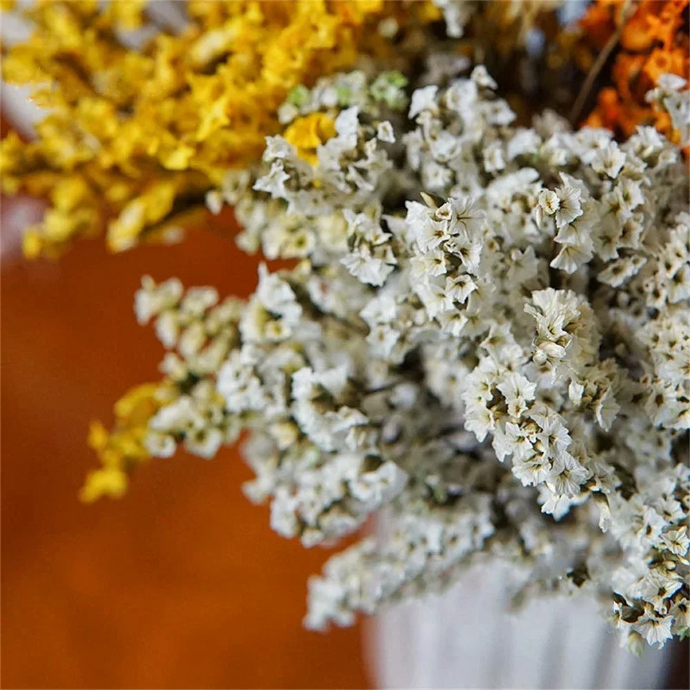 Thumbnail 3 - #5 Trending Dried Flowers Right Now