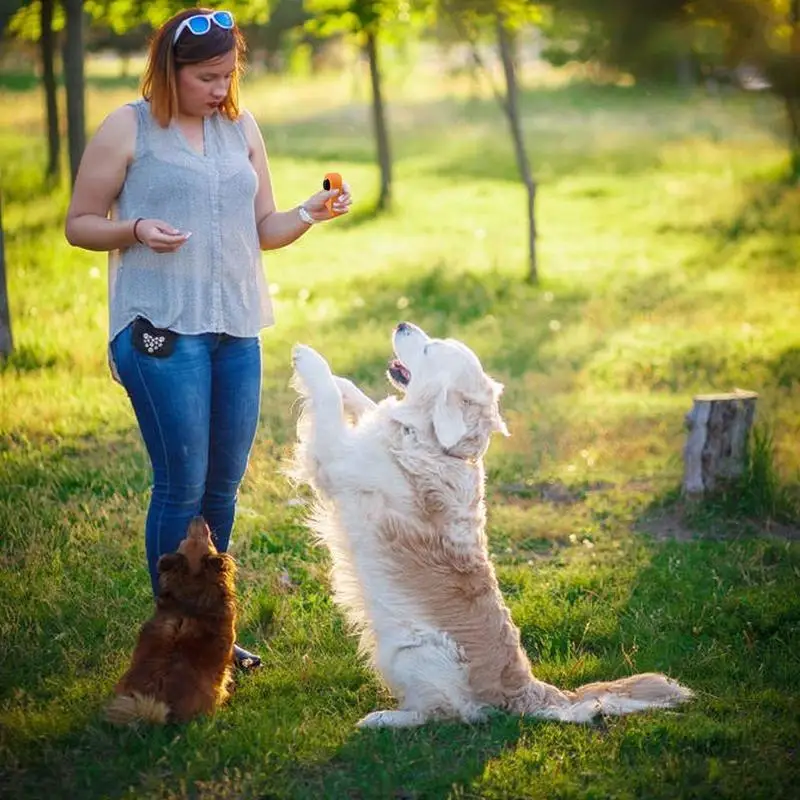 Dog Training Clicker Dog Training Clicker Pet Cat Dog Training Clicker Pet Answer Training Whistle Pet sonaglio Finger Ring Train