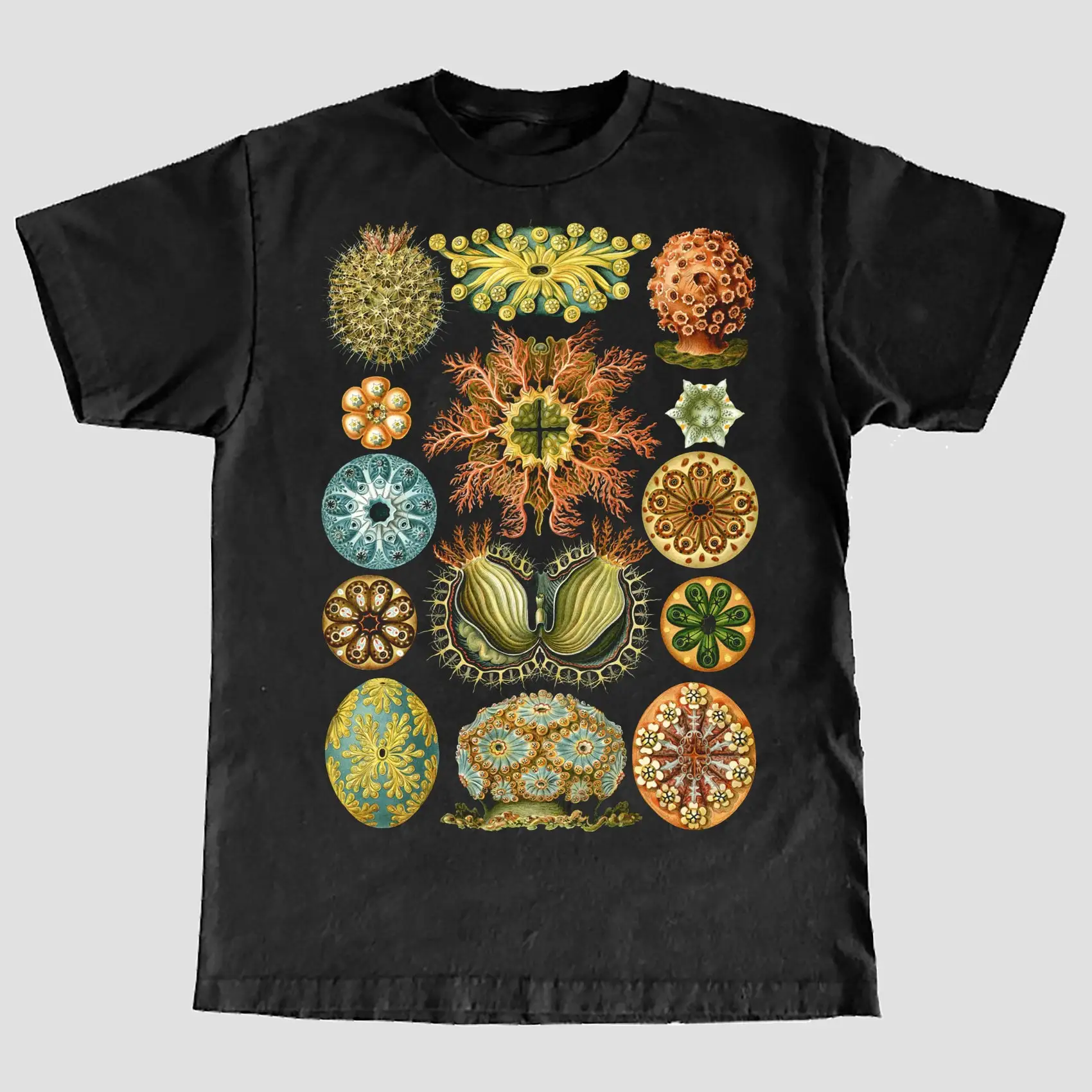 Ernst Haeckel 'Ascidiae Seescheiden' T Shirt