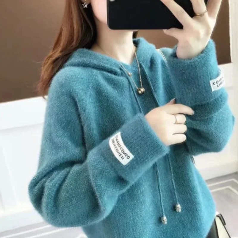 

Fashion Autumn Winter Pullover Women Knitted Sweater 2020 New Loose Hooded Warm Blue Pink Clothes Female Jumper Casual Tops G111