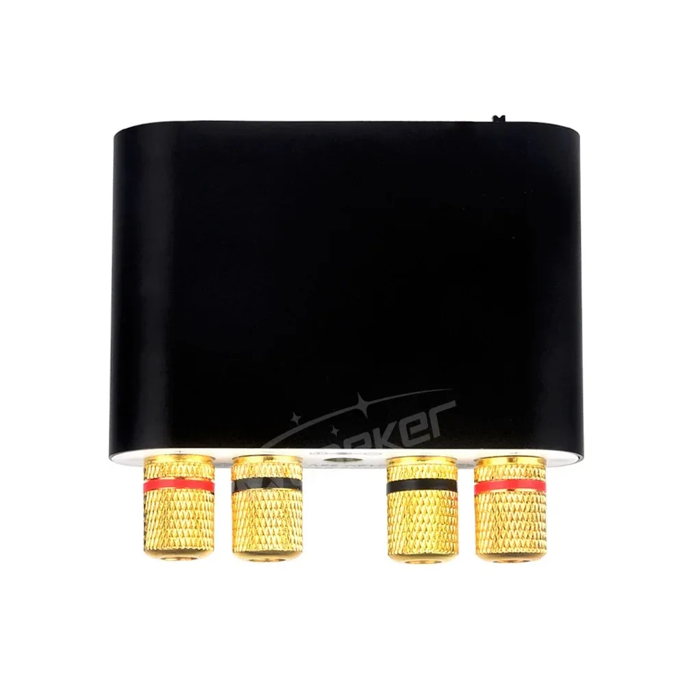 Mini Amplificatore di Potenza Bluetooth 5.0 Ricevitore Audio Stereo Hifi Amplificatore di Potenza Auto Amplificatori Audio Amplificatore Digitale Karaoke casa Soni
