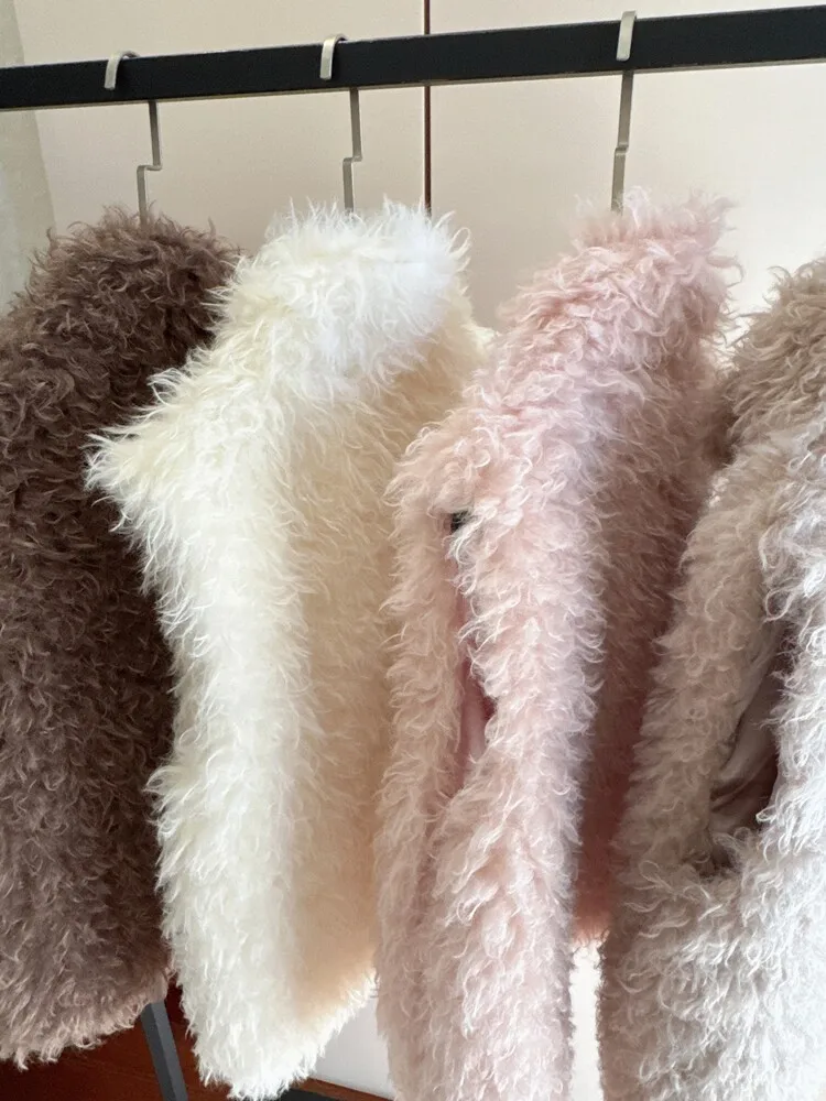 Autumn Winter Stand Collar Curly Hairy Faux Sheep Fur Sleeveless Coat Shaggy Waistcoat Loose Short Warm Jacket Outerwear