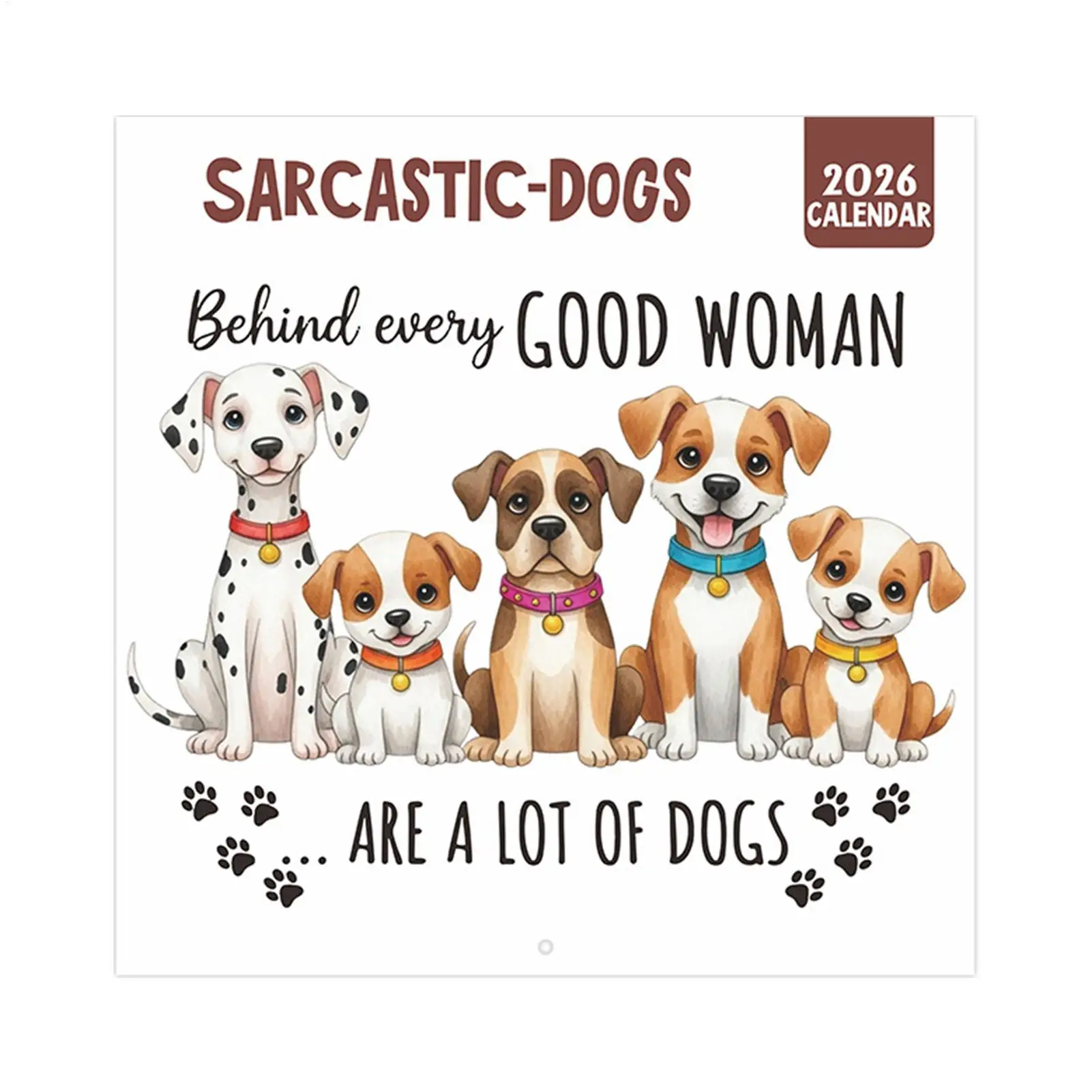 

2026 Calendar Monthly Wall Calendar Planner Organizer Display Monthly Schedule Planner For Home Offices Academic Work Holidays