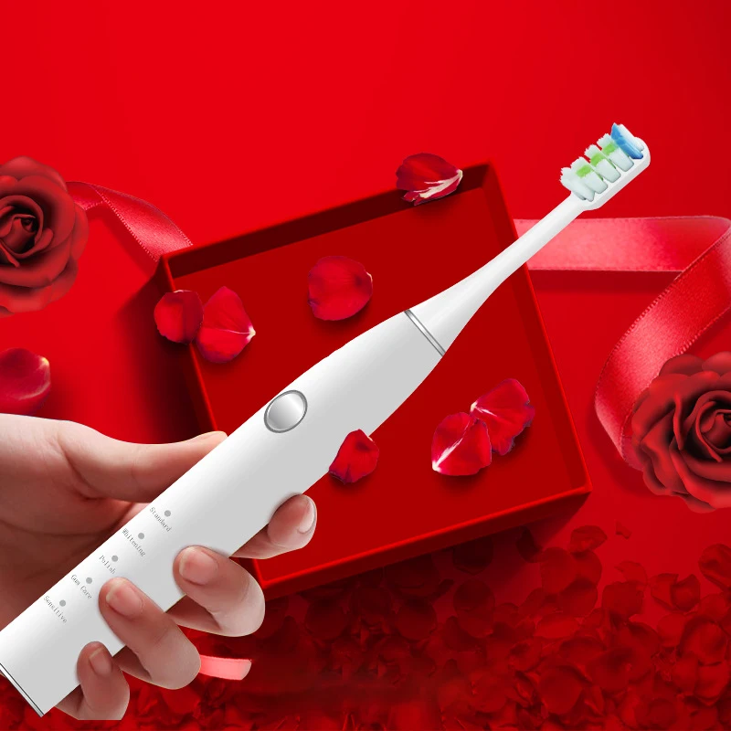 Smart Sonic Electric Toothbrush Couple Waterproof Multi-Grade USB Charging Soft Brush Head Adult Style Men and Women Home Use