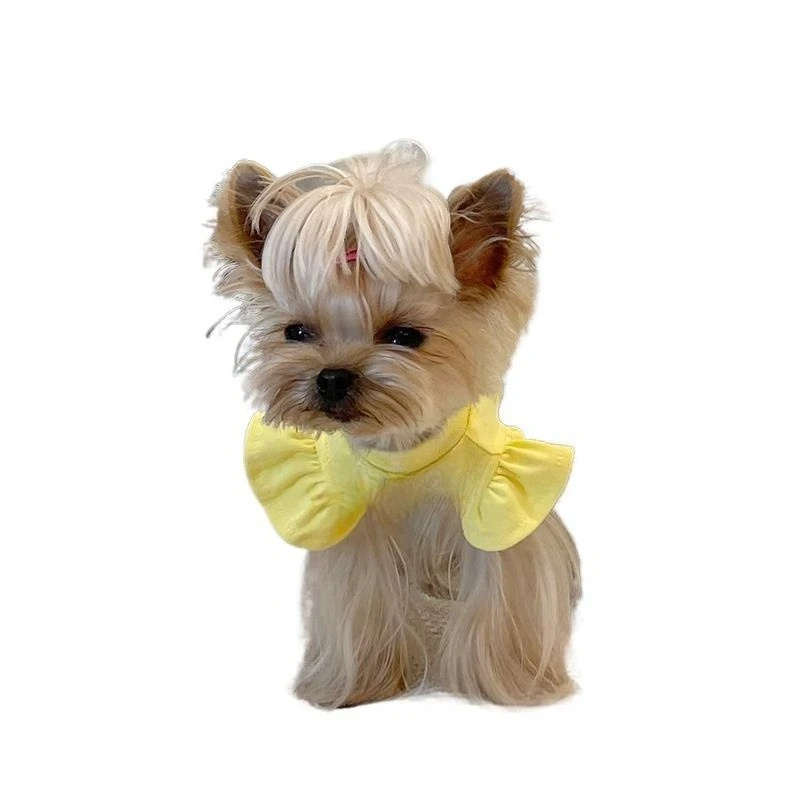 

Small Fly Sleeves Lace Pet Clothes Cat Dog Stretch Mal Vest Polyester Sheng Puppy Clothes Small Dress
