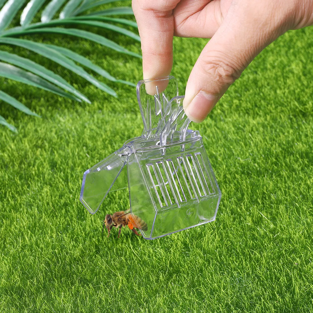 5pcs Plastic Queen Bee Clip Catcher for Apiculture – Gentle, Escape-Proof Capture Tool for Worker Bees
