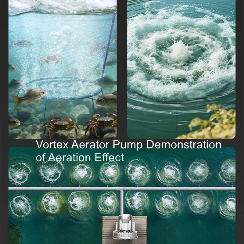 

High-Power Vortex Aerator Pump for Fish Sales and Oxygenation Seafood Pond Aerator Fish Pond Oxygen Pump