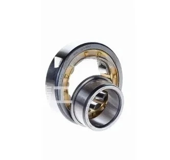 Inlet Bearing Nj Nu…