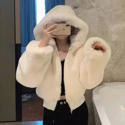 Hairy fur high waist short coat female autumn winter 2024 new model