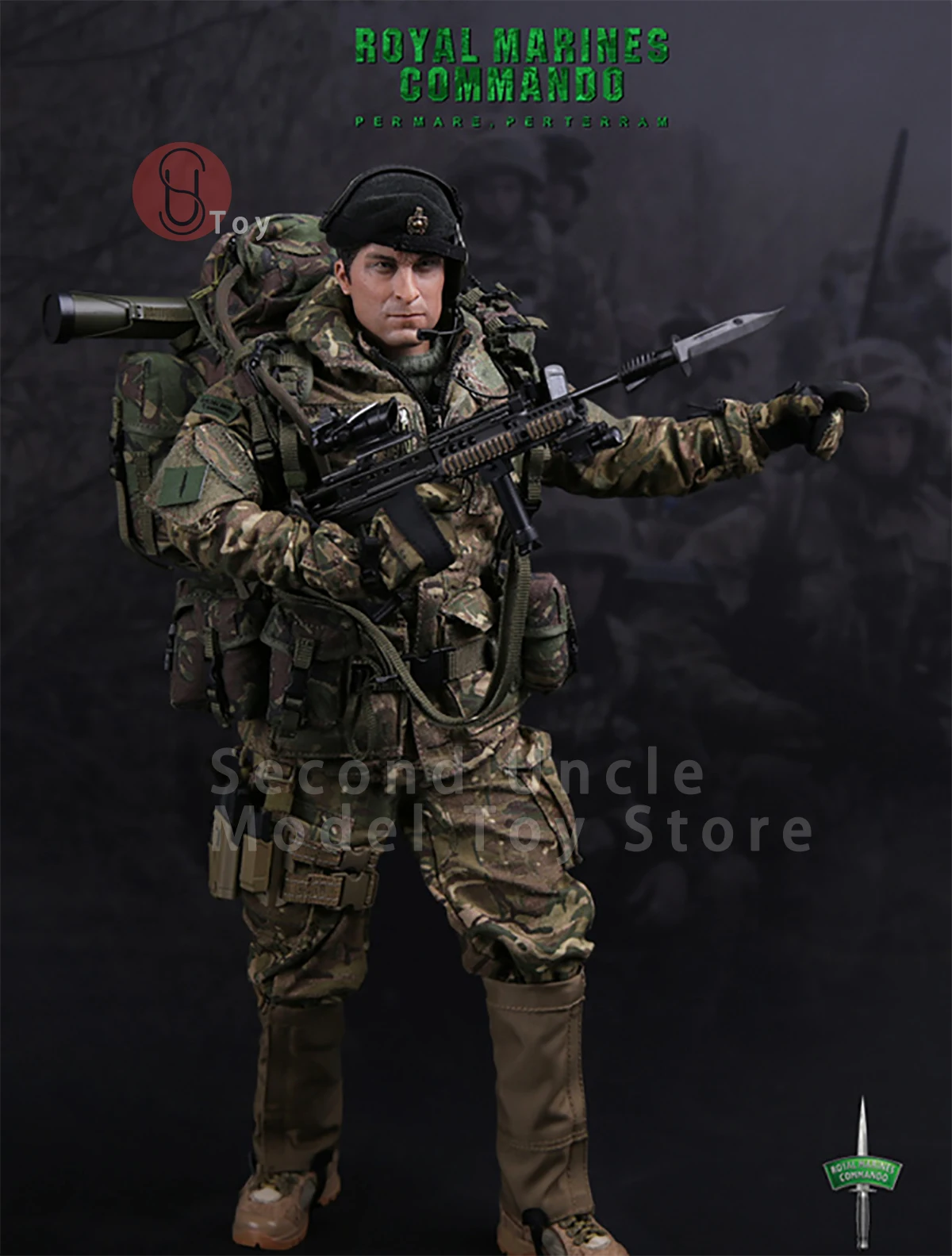 

DAMTOYS DAM78023 1/6 British Royal Marines Assault Team Member Male Soldier Action figure Doll Full Set Collectible Toys