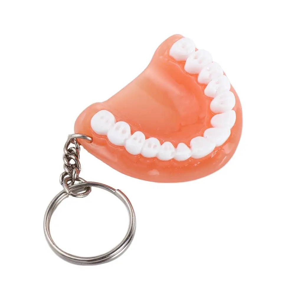 Creative Dental Decoration Teeth Shape Upper Jaw Resin Denture Key Chain Teeth Pendant Tooth Key Chain Teeth Keyring