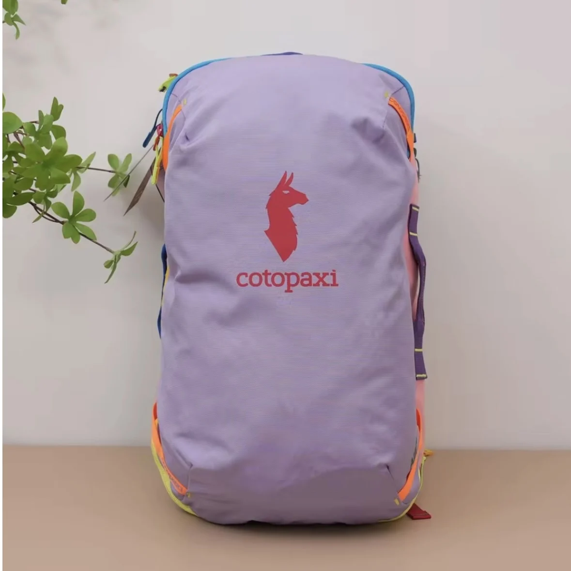 

2026 Cotopaxi Alpaca Robot 28L Travel Carry-On Bapa Dimensions 483023 ex Youth Travel Bapa with Two Carents