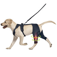 Dog Knee Brace with Metal Hinge Support - Adjustable ACL Brace for Broken Ligaments, Dislocated Patellas, and Arthritis