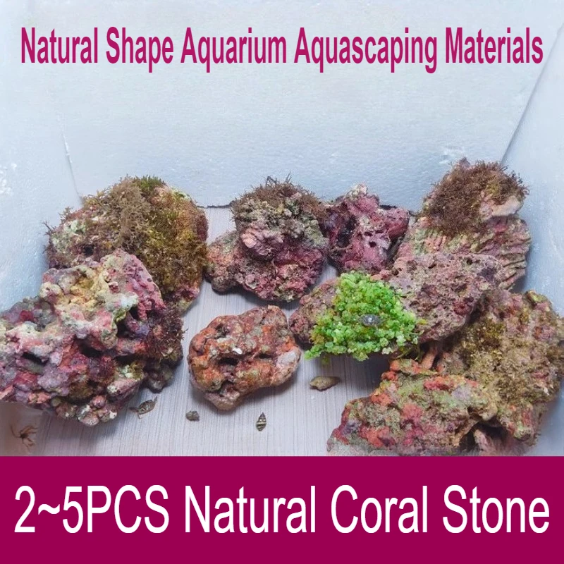 Sea Water Fish Tank Coral Reef Landscape Natural Coral Stone Coral Cultivation Base DIY Originality Scenery