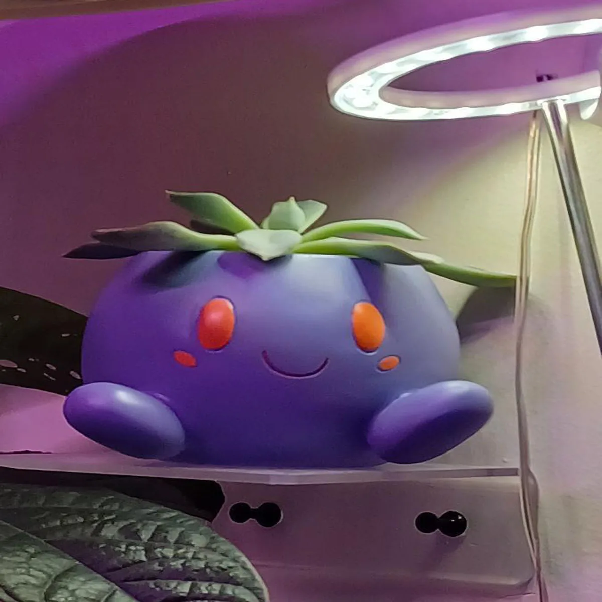 Figurine de dessin animé Pokemon violet, modèle de personnage mignon et étrange, décor de bureau pour chambre à coucher, jouets kawaii, cadeau de noël