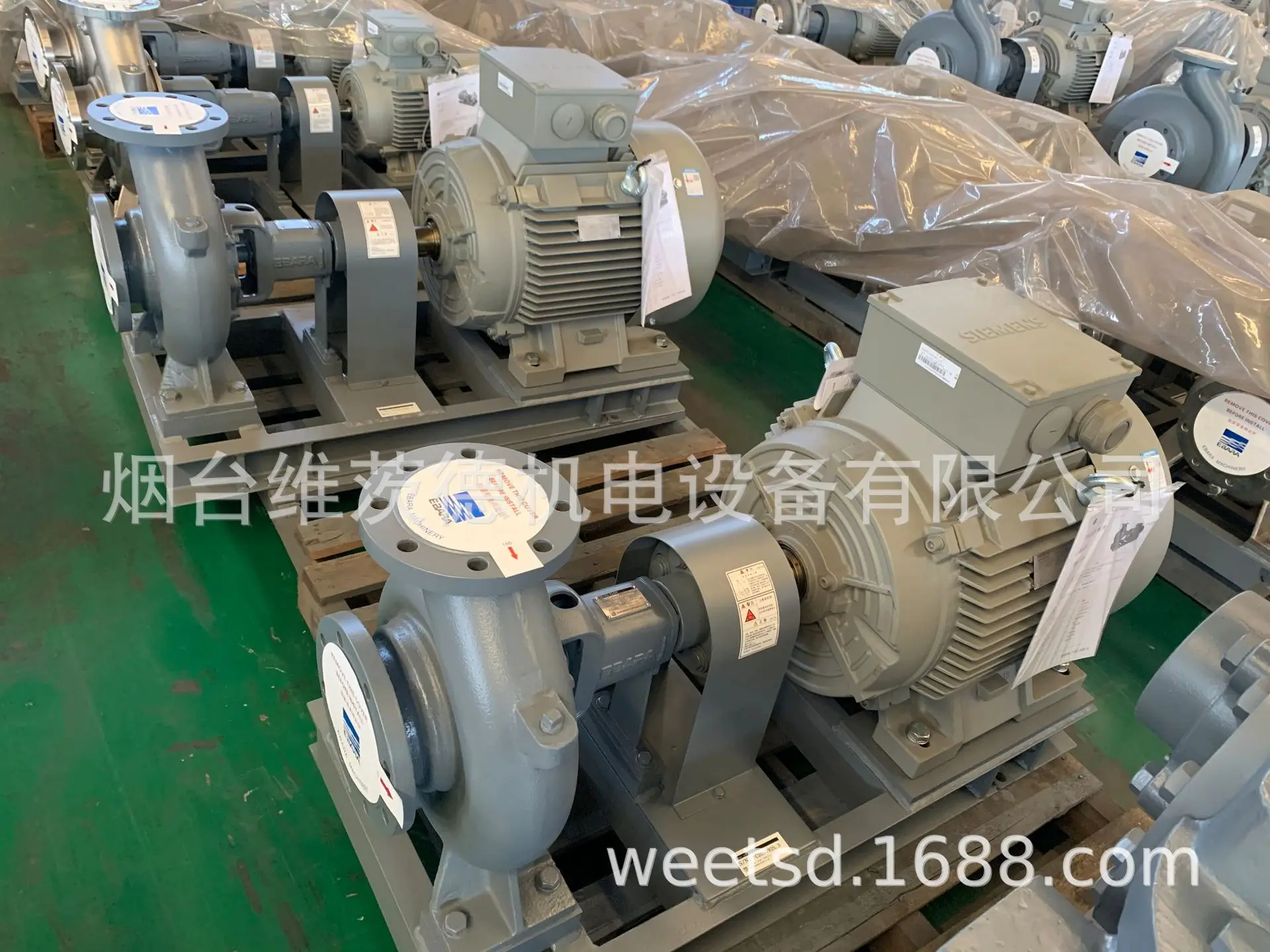 125x100FS4KA Centrifugal Pump EBARA