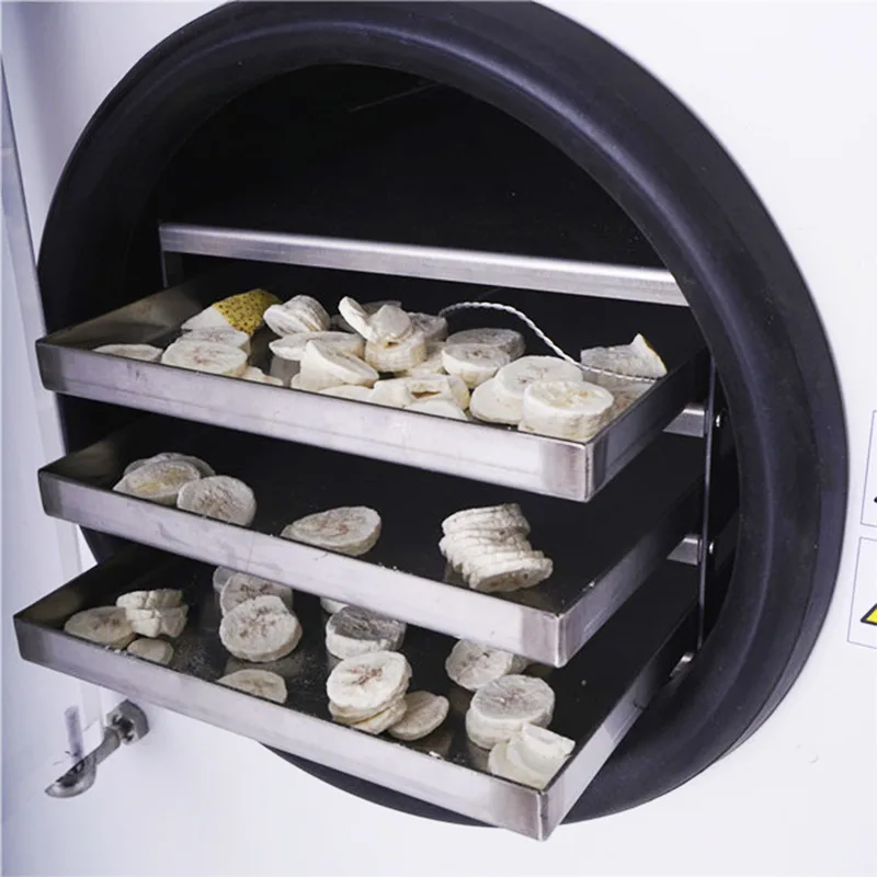 Freeze-Dried Homemade Food Household Vacuum Pump Freeze Dryer