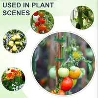 100PCS Velcro zip ties, plant ties, non slip garden ties, suitable for gardening, home decor, etc 2