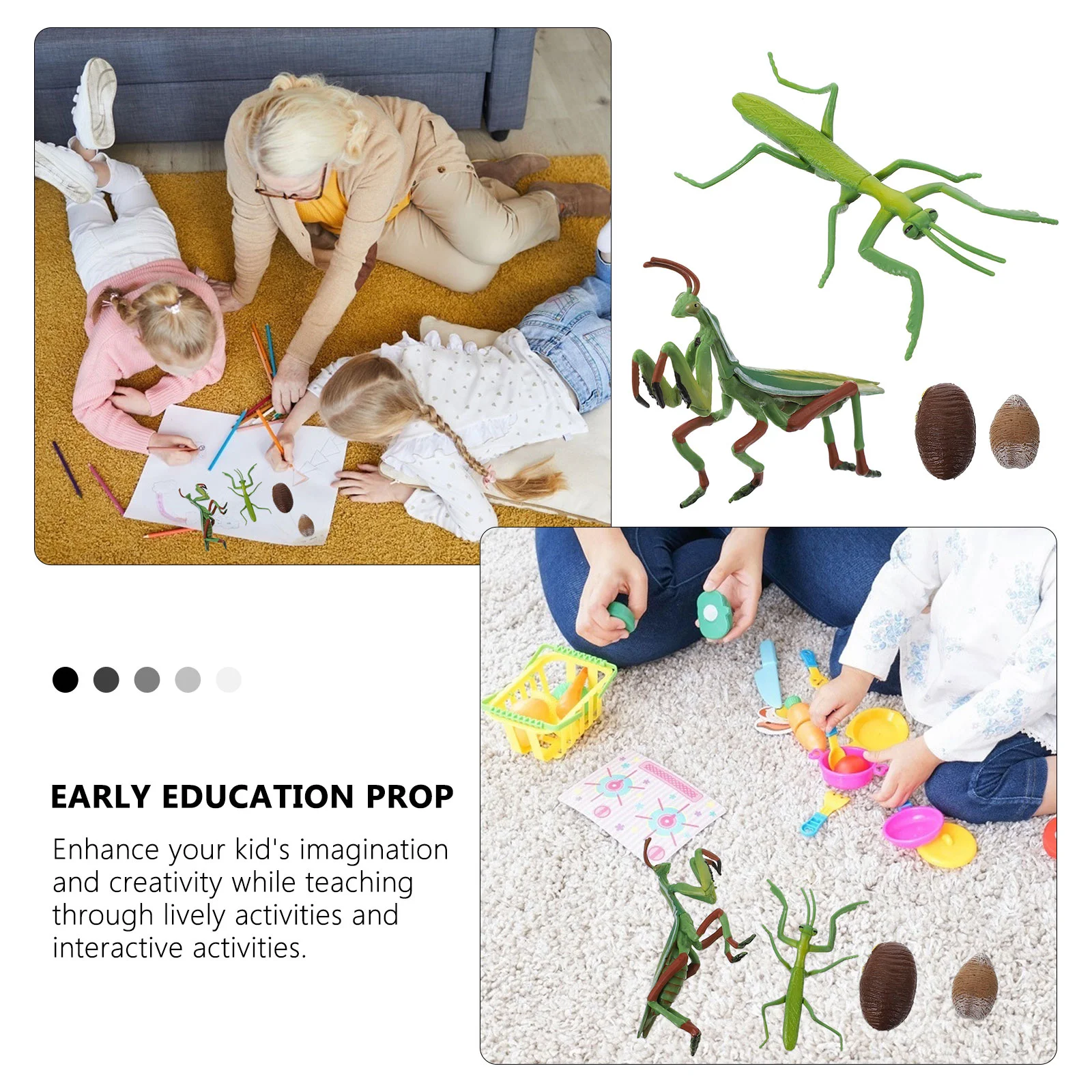 Modelo cognitivo da vida Figura de educação infantil Mantis Kit de brinquedos infantis