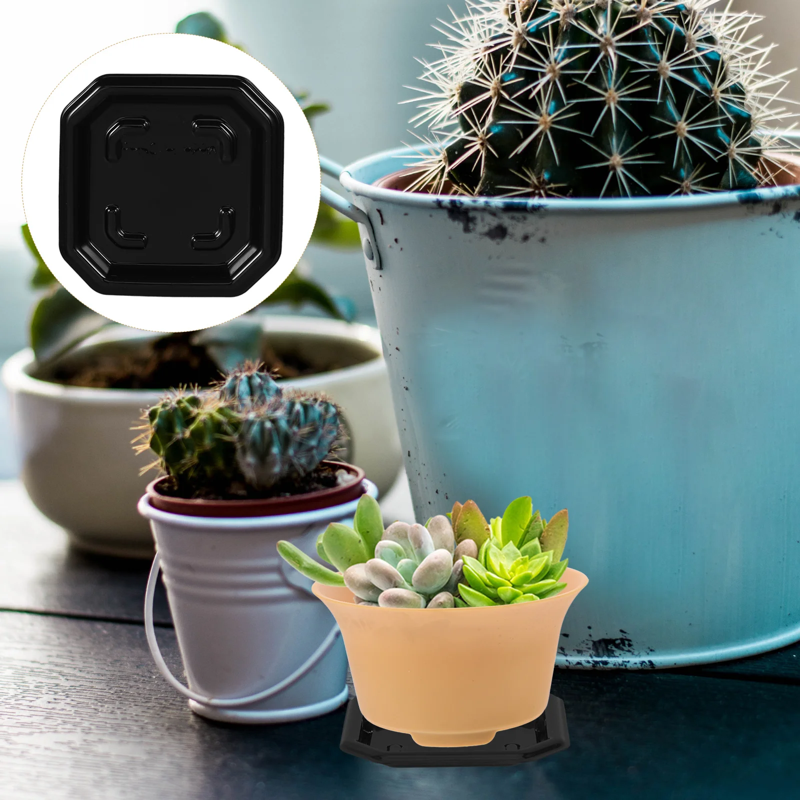 

50 Pcs Succulent Square Basin Plant Saucer Planter Drainage Tray Plastic Thicken Flower Pot Saucers Pp Water Catcher