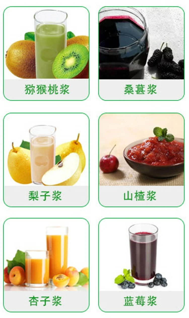 Dragon Juicer  Fruit Peeling Seed Removing Pulping Machine/fruit Pulp Juice Making Machine/mango Puree Extractor