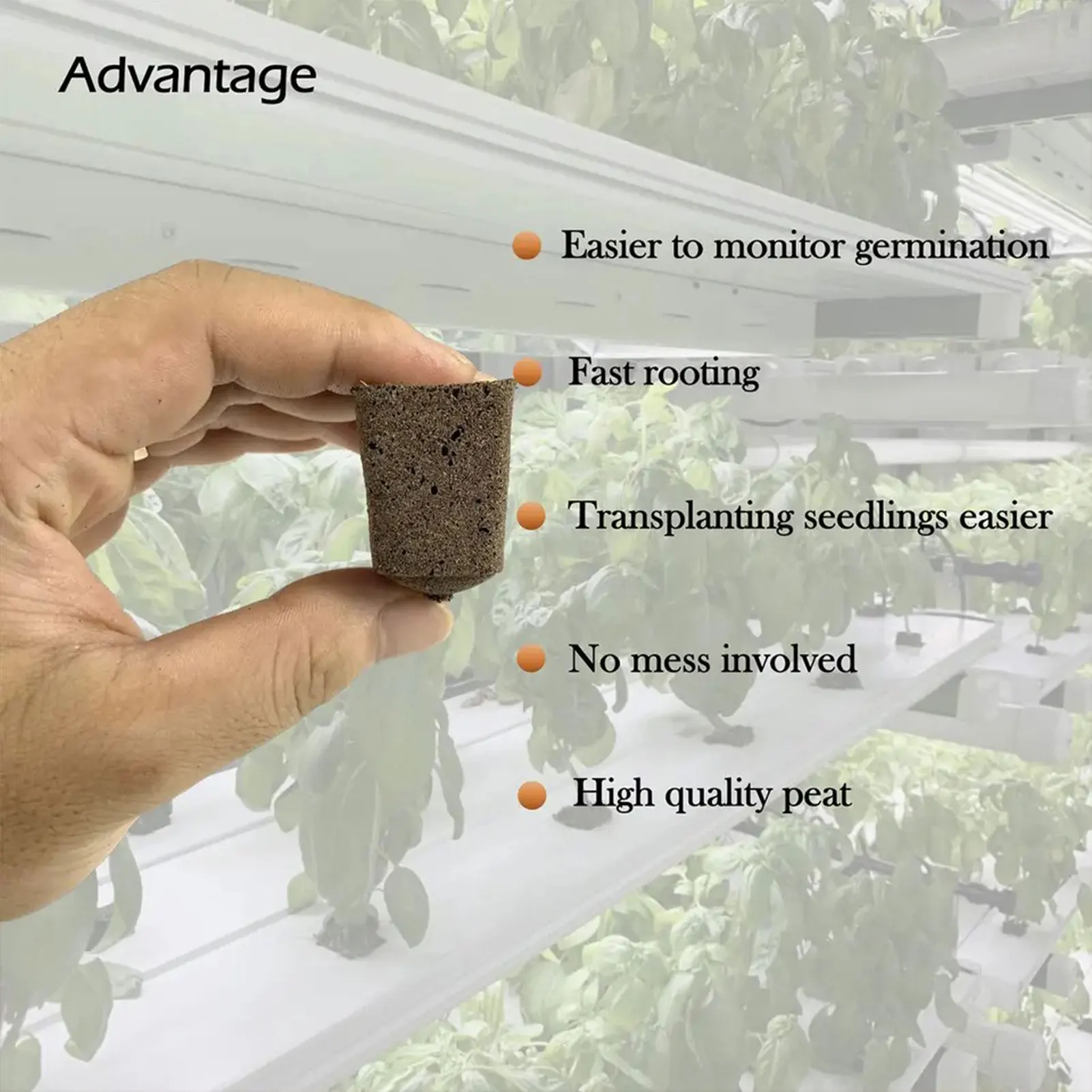 10/30Pcs Hydroponic Seedling Sponges Garden Flowers Planting Green Thumb Seedling Soil Block for Promoting Plants Growth