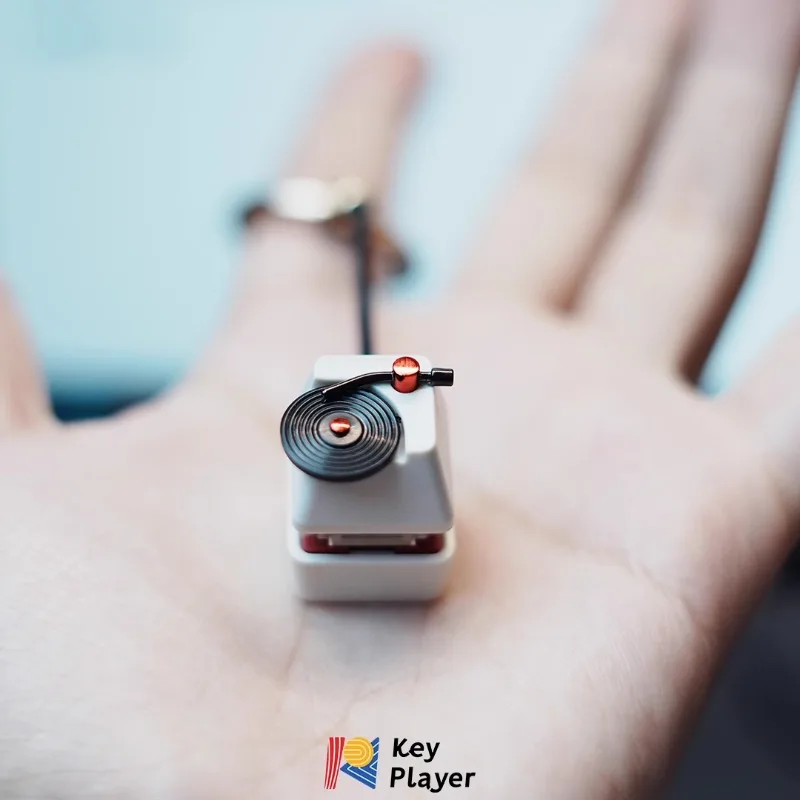 Vinile Record Artisan Keycap Personalizzato Carino Resina Tastiera Cap Cherry MX 1U Personalizzato KeyCap per Accessori Tastiera Meccanica