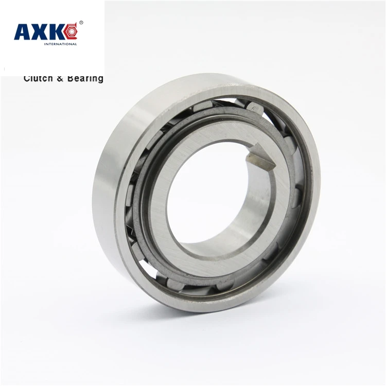 TFS30 ASNU30 NFS30 Freewheel Clutch  One Way Roller Bearing TFS 30