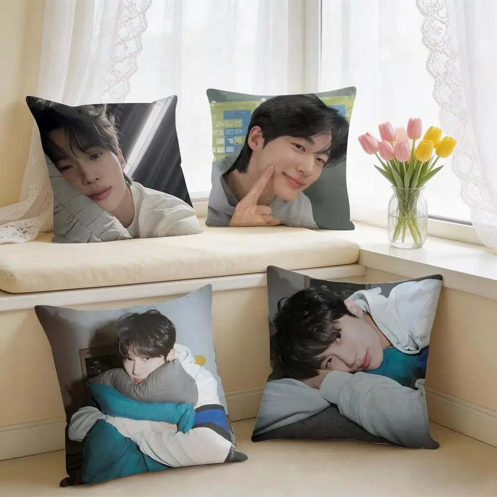 B-Byeon W-Woo-seok Korea Cushion Cover Square Short Plush Pillow Case Living Room Sofa Home Decor Funda 40X40