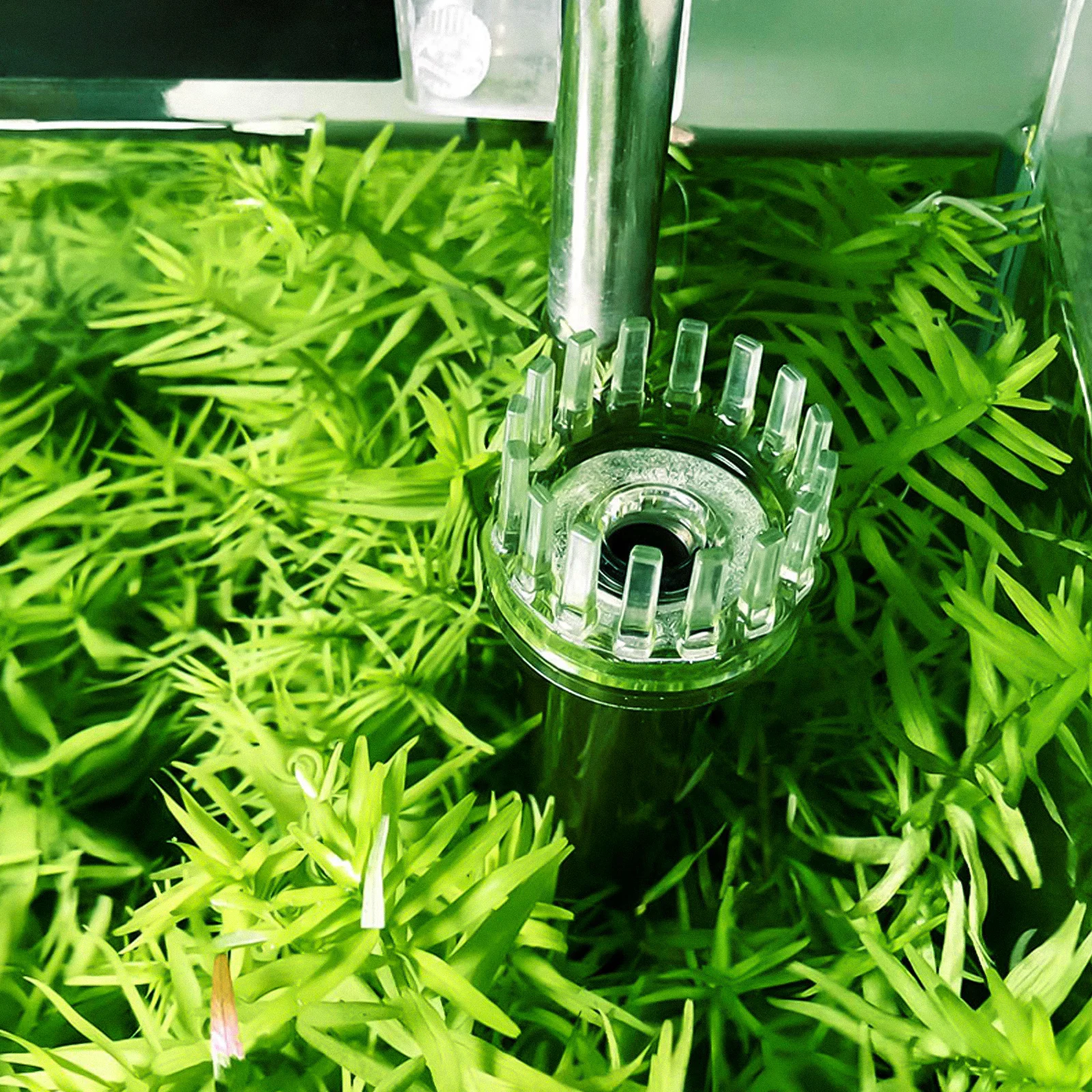 

Fish Tank Corner Filter Quiet System Efficient Waste Removal Biochemical Physical Filtration Adjustable Outlet Angle